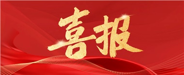 喜訊！長康實(shí)業(yè)上榜2024年度“岳陽民營企業(yè)50強(qiáng)” ！